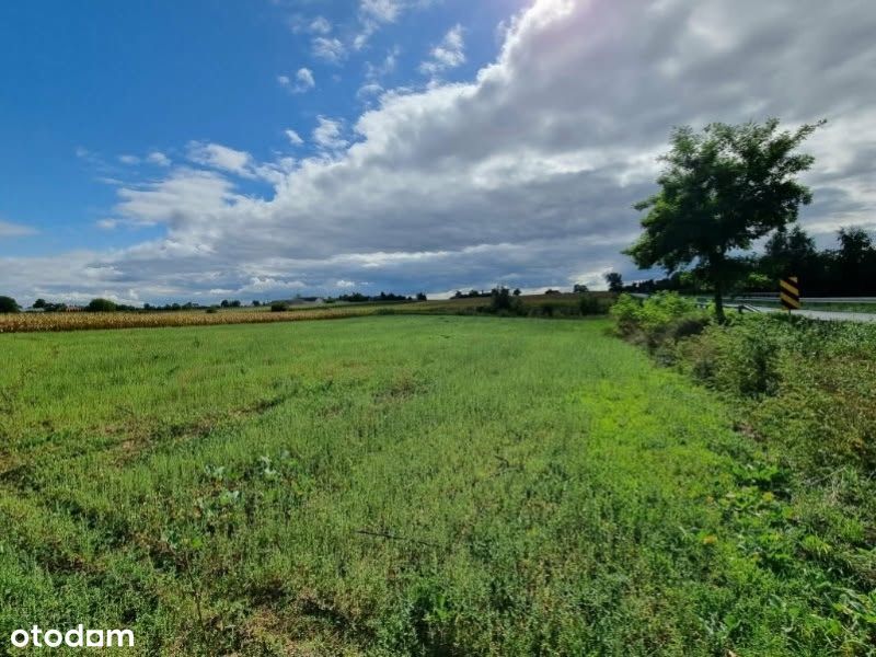 Działka budowlana 1250 m² w otoczeniu lasu