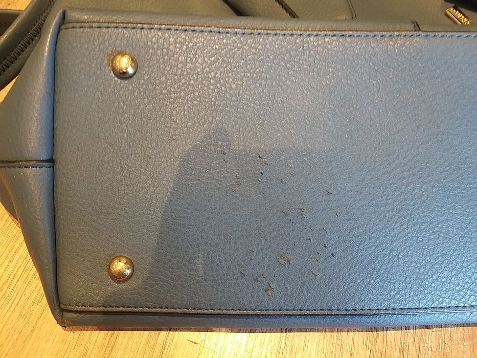 Torebka puccini - niebieska