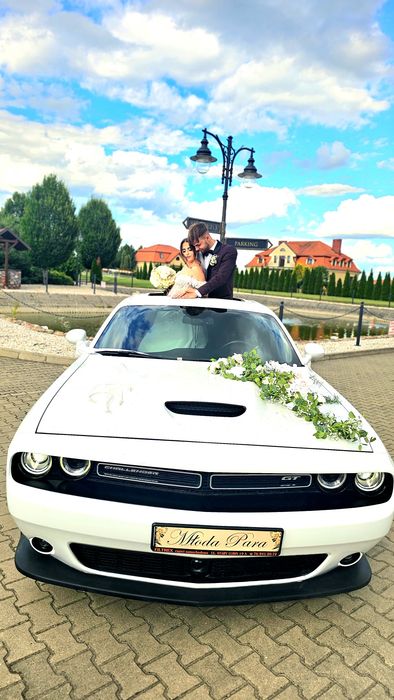 Wynajem auta do ślubu Dodge Challenger Durango