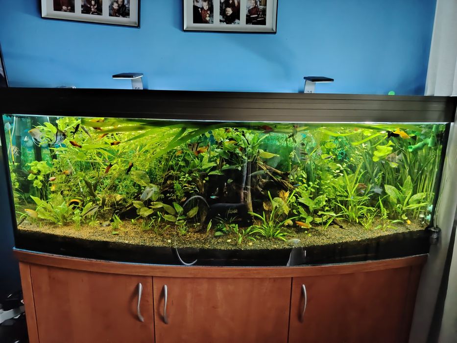 Sprzedam akwarium + cały osprzęt