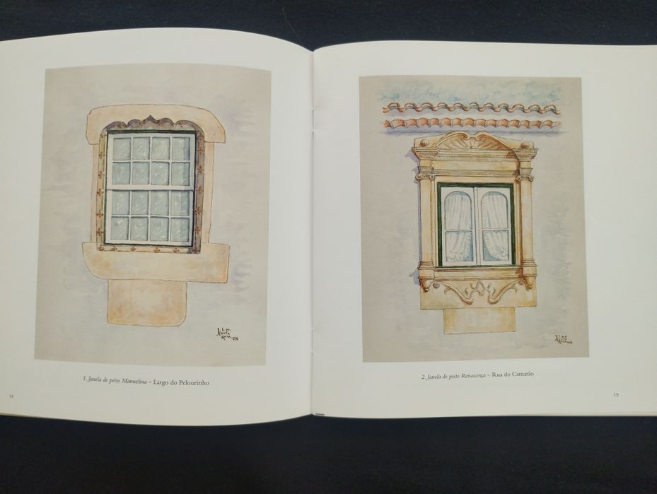 **Vendo livro "Janelas de Tomar" — Obra do arqui. tomarense Costa Rosa