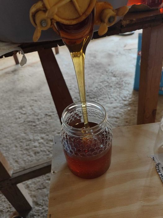 25 kg Mel caseiro 2024