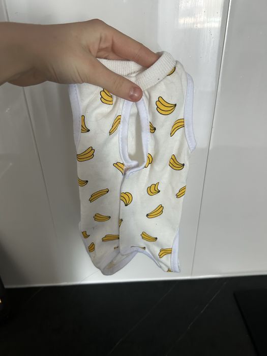 Ubranko dla kotki po sterylizacji