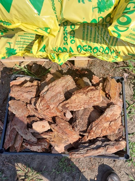 Ziemia, kora ogrodowa