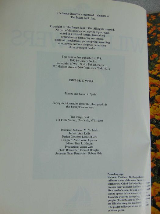 Album Wildflowers - Ann Reilly