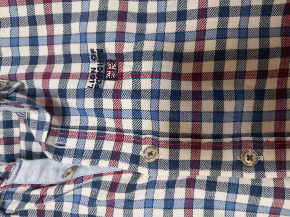 Camisa Lion of Porches