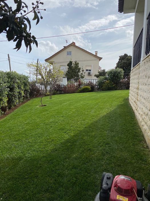 Serviços de Jardinagem