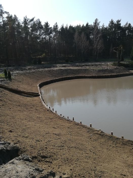 Faszynowanie stawów