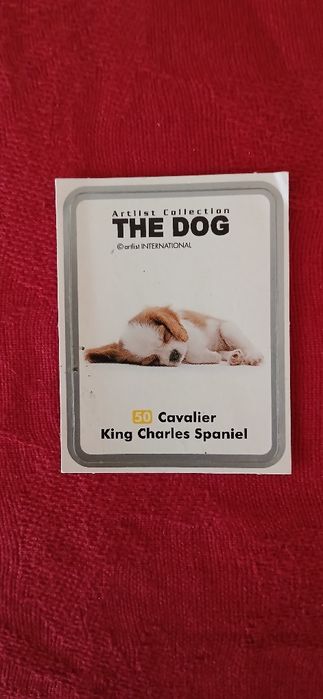 Autocolante The Dog, n° 50