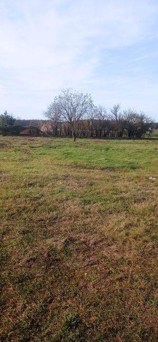 Działki budowlane Siedlisko