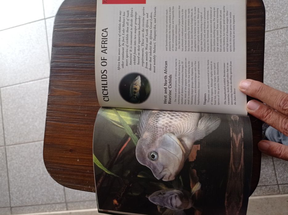 Livro de Ciclídeos