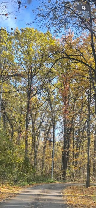 Аренда дома в элитном коттеджном городке «NewSide», NP