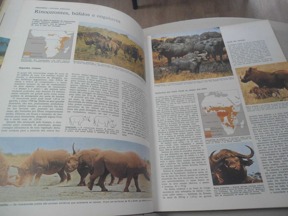 Animais da Terra das SRD