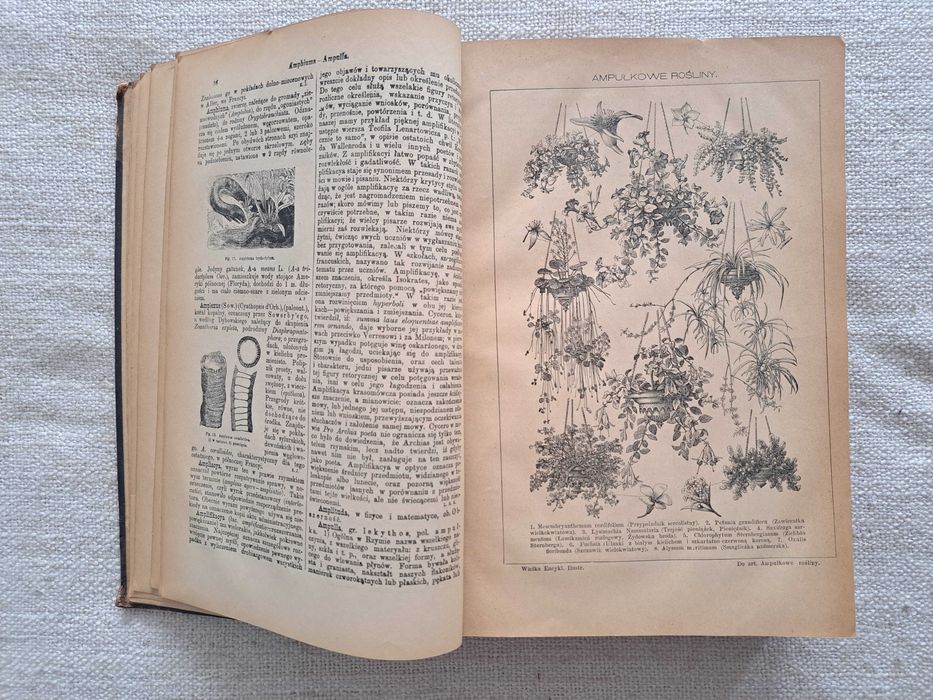 1890 rok. Wielka Encyklopedya Powszechna Ilustrowana. Tom III-IV