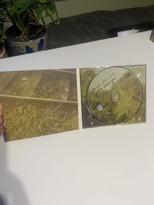 CD Muzyka Końca Lata - PKP Anielina