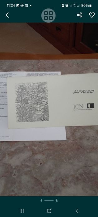 Pintura do primeiro auto retrato de Alfredo da Conceição