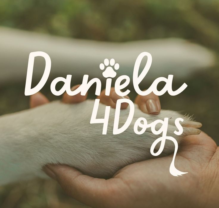 Enf. Vet. | Treino canino e comportamental