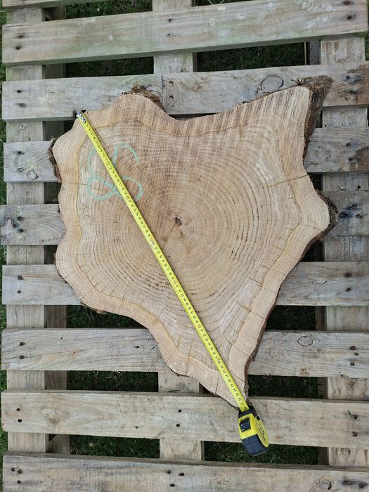 Plaster dębowy na stolik kawowy, ławę