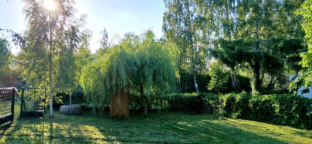 Działka nad jeziorem Lubotyńskim - Pierwsza linia brzegowa