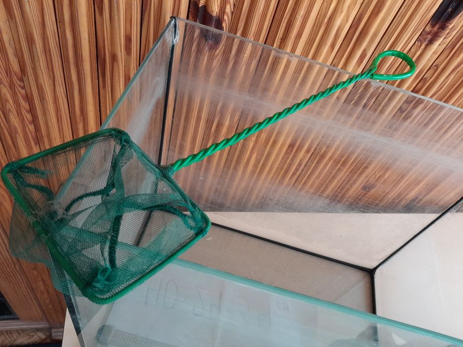 Аквариум для рыб