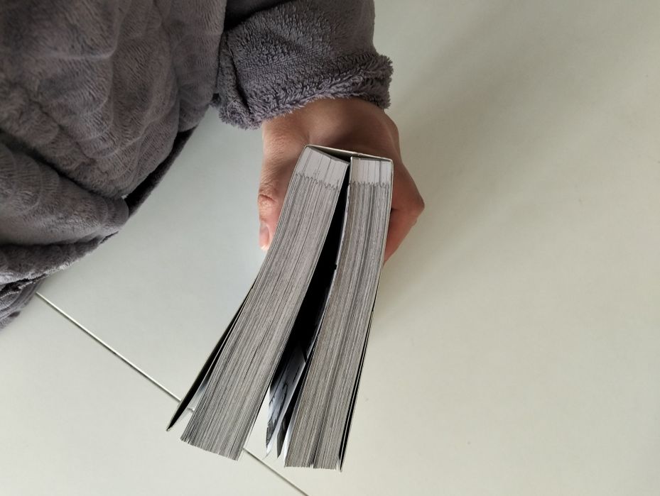 Mangás Vagabond usado