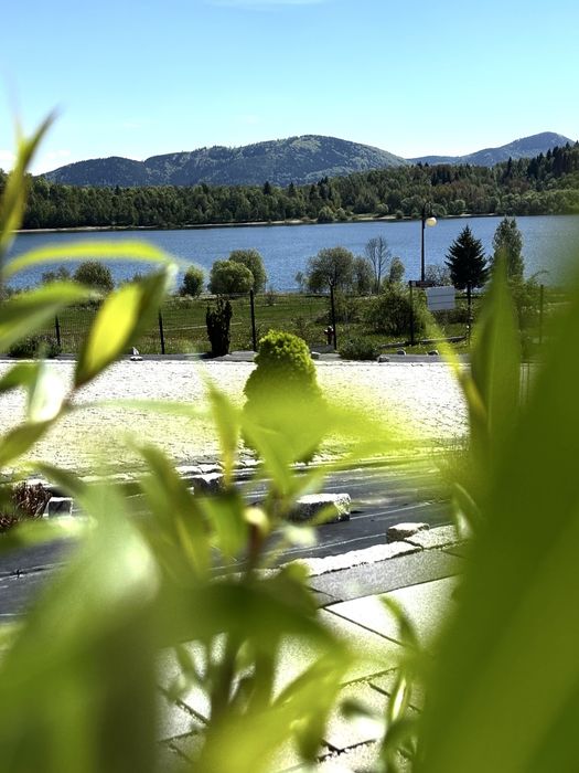 Domek w górach nad wodą