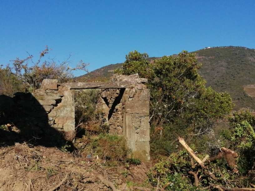 Quinta do Grilo - Alto Douro