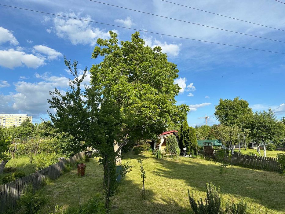 Ogród działkowy ROD ,, Bajki „ 490m2 ul. Borowska