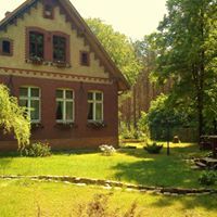 samotnia -cisza i las