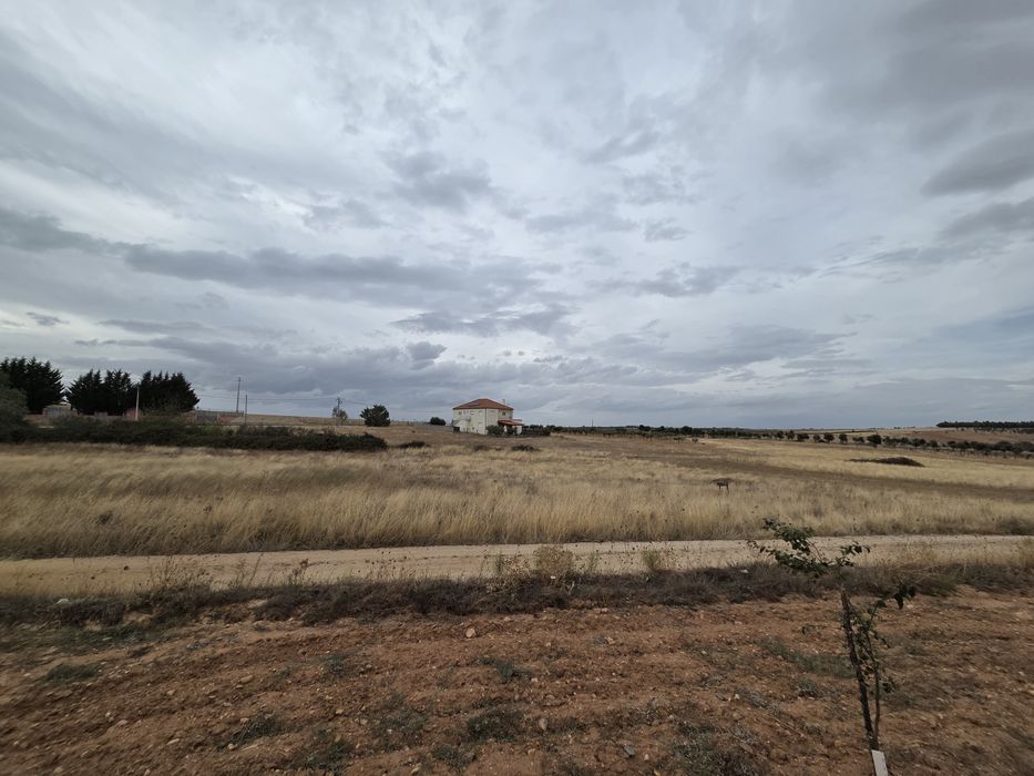 Terreno em sendim