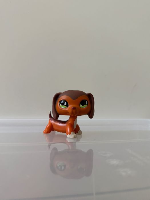Lps jamnik z magnesem #675