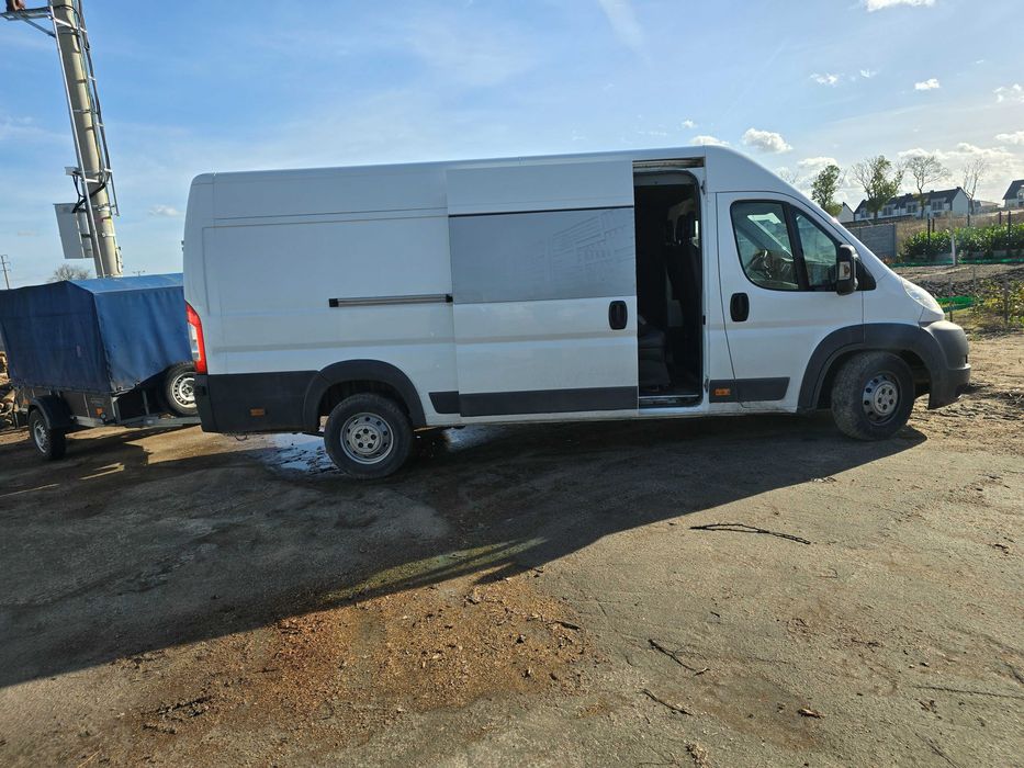 Witam oferuje uslugi