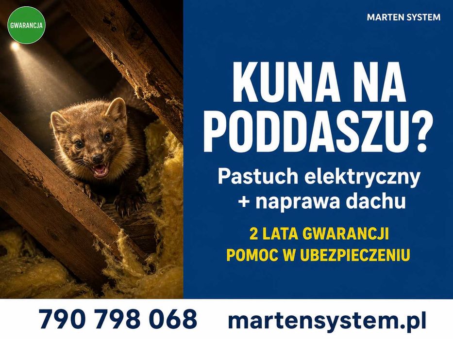 Zwalczanie kuny domowej i naprawa szkód w dachu Szczecin, gwarancja 5 lat. Pomagamy odzyskać koszty z polisy ubezpieczeniowej.