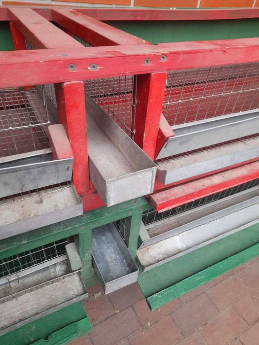 Клітки для перепелів