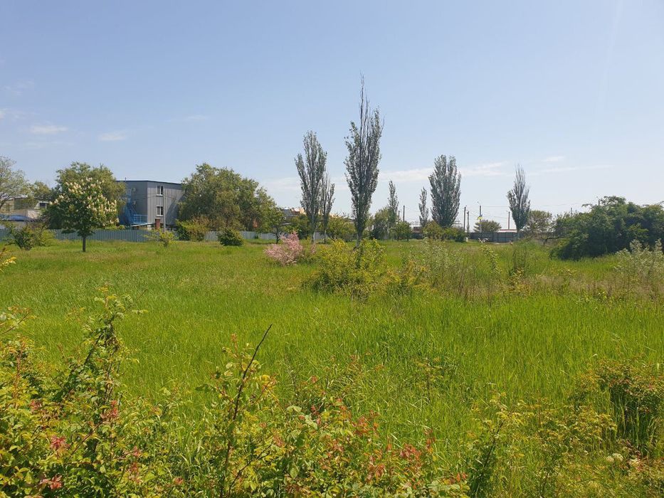 Продам участок 3.73 Га курорт Грибовка 1 линия, срочная продажа