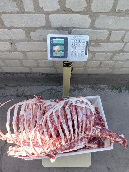 Мясо( без кістки), тушка Баранина, козлятина,  ягнятина . СВІЖЕ!