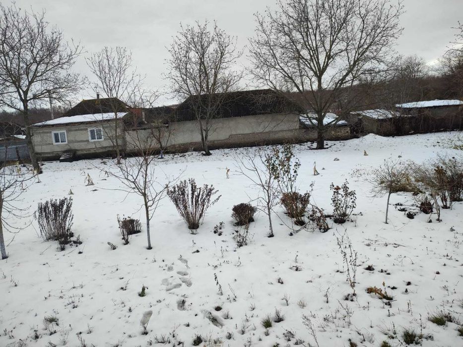 Дом в Молдавии продам или обмен на Бердичев