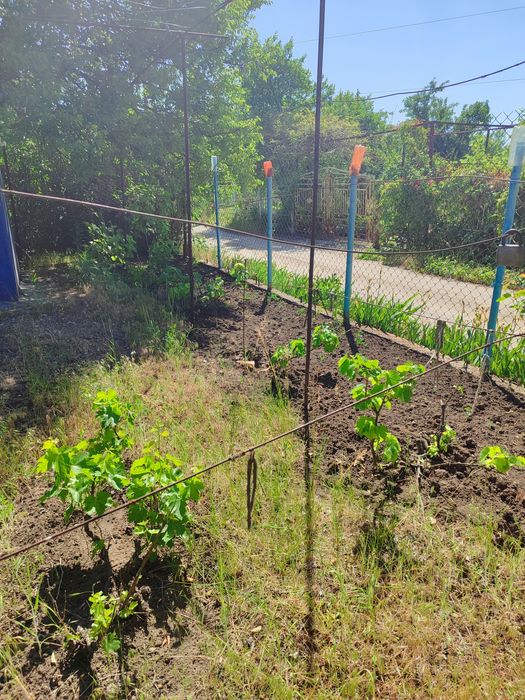 Продам дачу в черте города