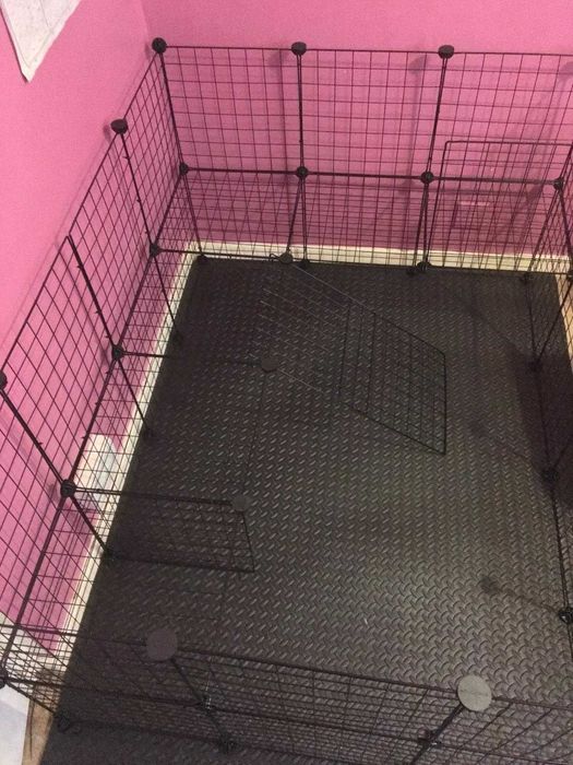 Wybieg NOWA Klatka Kojec dla KRÓLIKA Świnki Chomika PSA Modułowa DUŻA