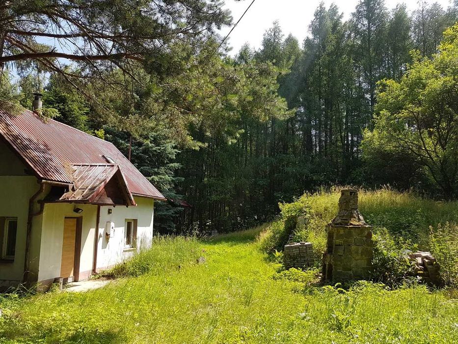 Tyczyn k. Rzeszowa - dom na wyjątkowej działce 5085 m² przy lesie