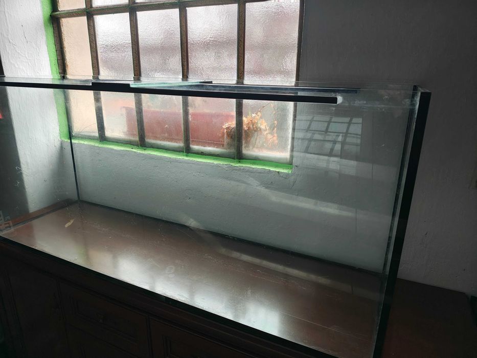 Akwarium 330L + Szafka Diversa Comfort Prosta Klon 150