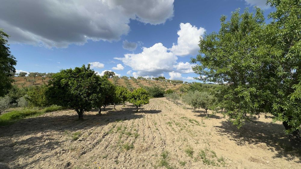 Terreno Rústico 4.392 m² – Eiras do Lagar, Vilarelhos (Alfândega da Fé)