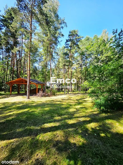 Klimatyczny dom 187 m2, na pięknej, zalesionej działce 5000 m2