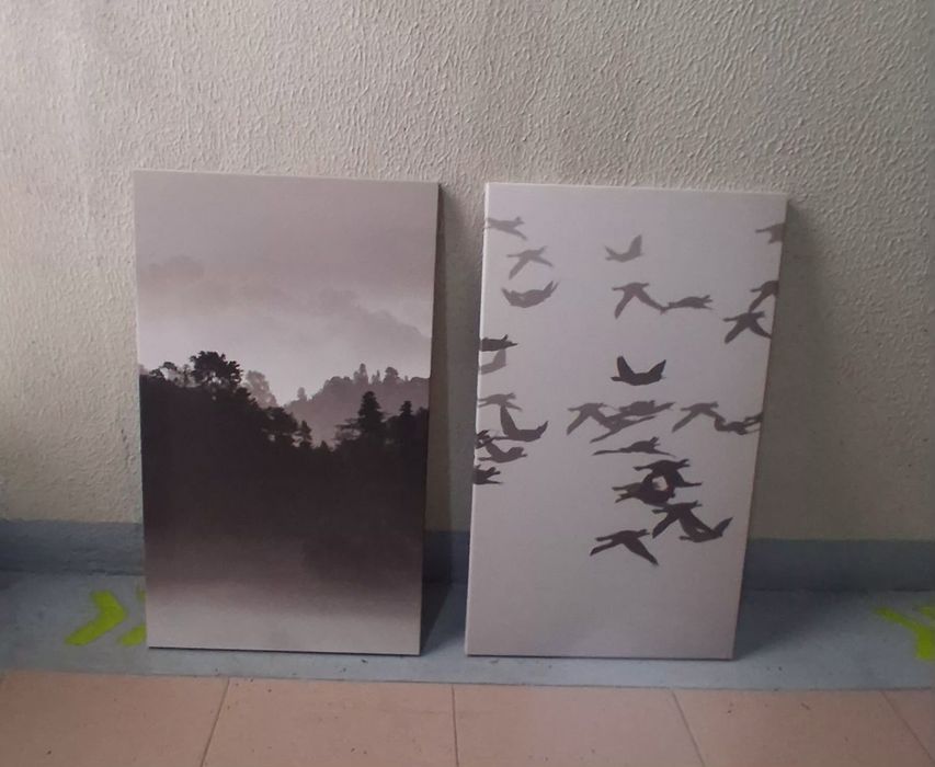 Quadros Decorativos / Decorative Frames - NOVO/NEW