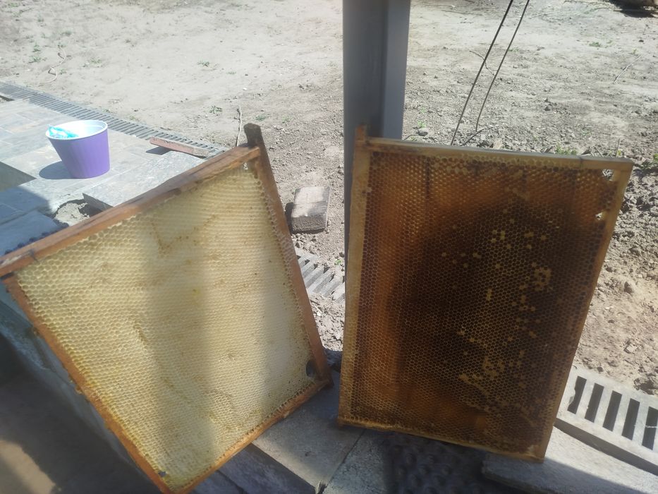 Продам рамки суш  для бджіл