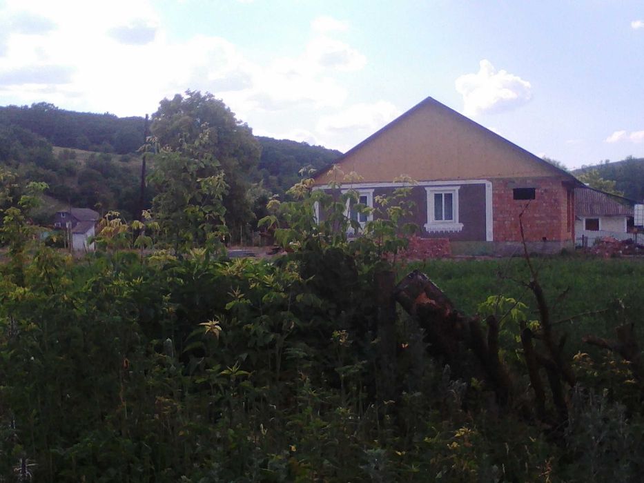 Продам будинок з гарним краєвидом на річку