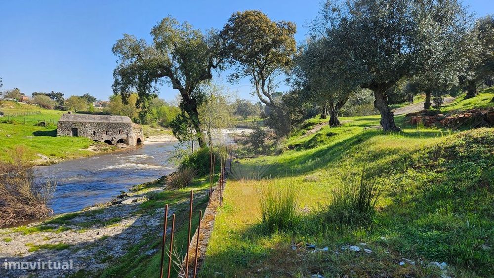 Terreno  para venda — Ponte De Sor, Tramaga E Vale De Açor, Portalegre