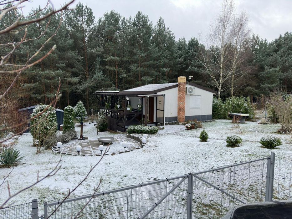 Odstąpię działkę ROD - Widok 6