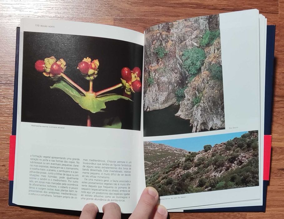 Livro "Roteiros da Natureza: Norte" de António Pena José Cabral