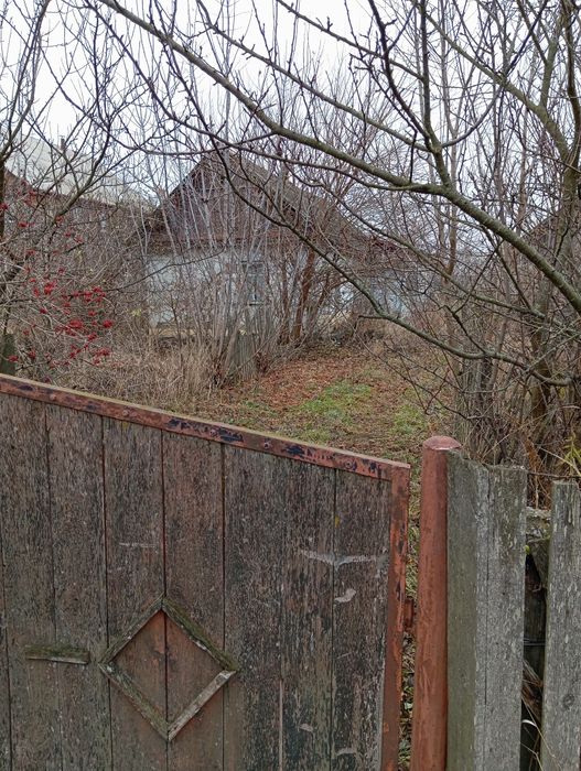 Продам ділянку 25сот зі старим будинком с.Сінгури